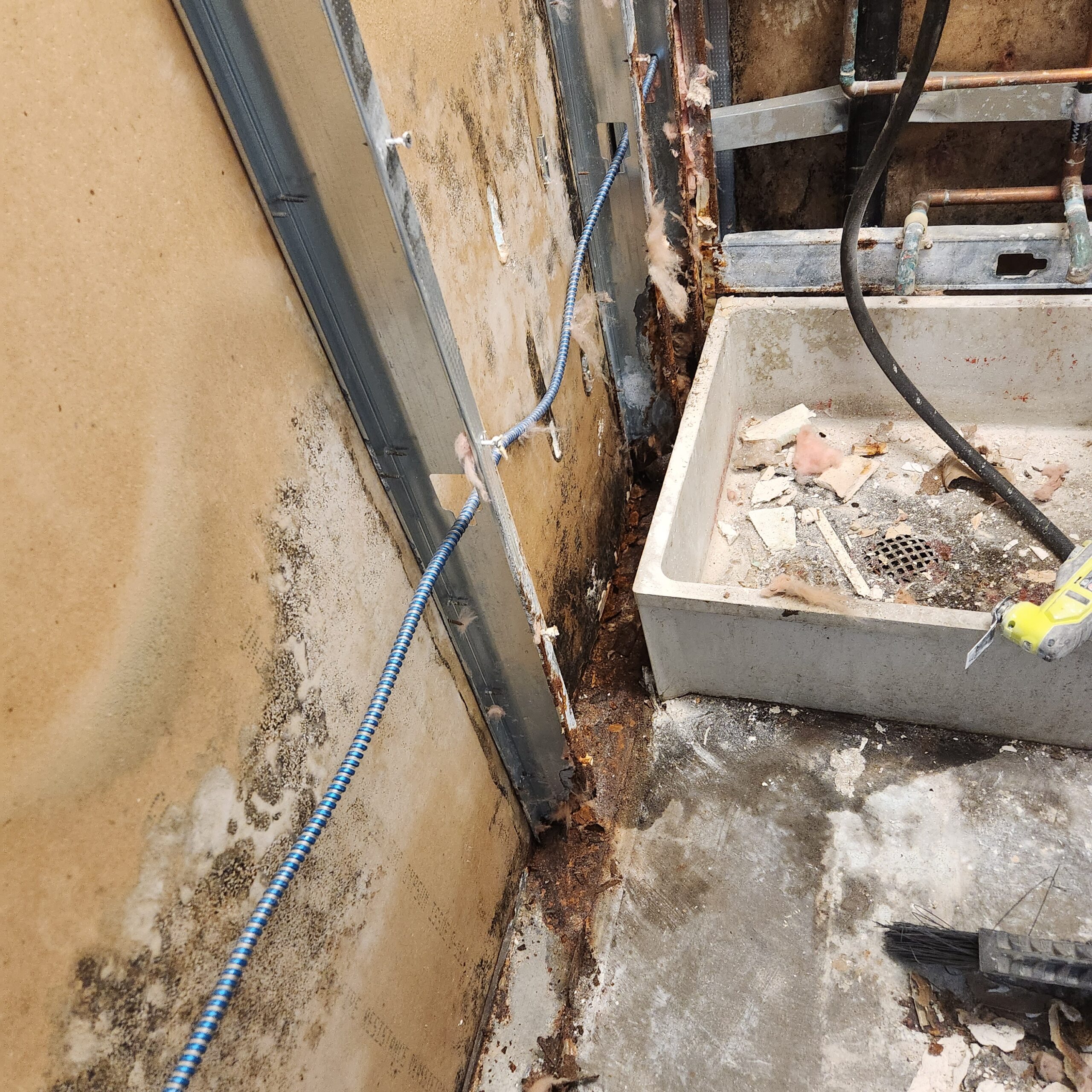 Commercial mold remediation, mold removal, water damage