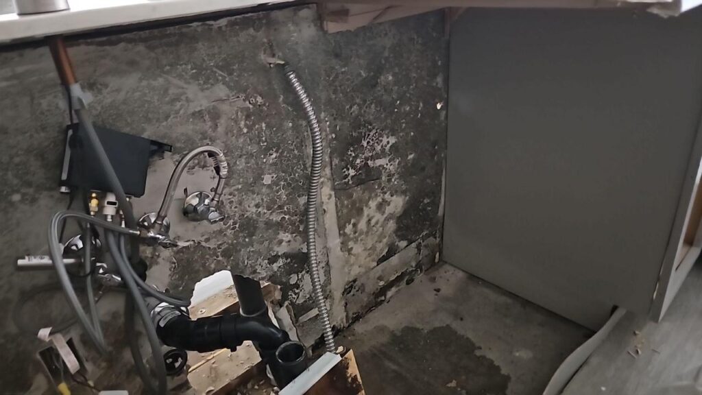 mold behind a cabinet