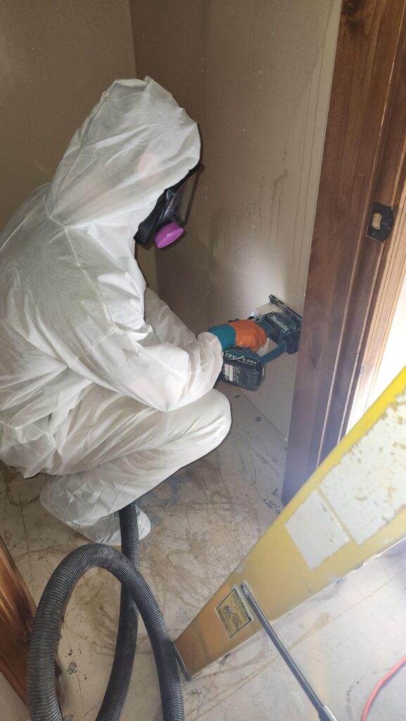 Arizona mold remediation experts