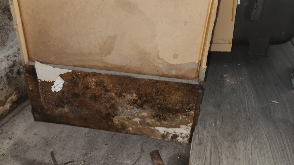 Medical mold remediation in Arizona