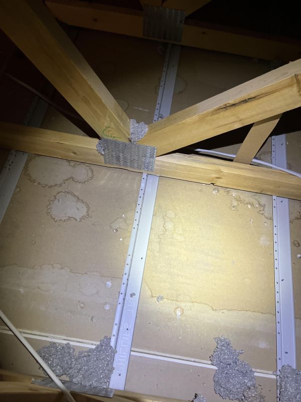 Removed contaminated attic blown in insulation revealing hidden mold on ceiling drywall